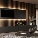 DRU Virtuo 100 Evolve | Elektrisch inbouwhaard
